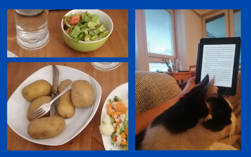 Das Bild zeigt links Essen (Pellkartoffeln, Gemüse, Salat) und rechts eine Hand die ein E book hält, davor liegt eine Katze.