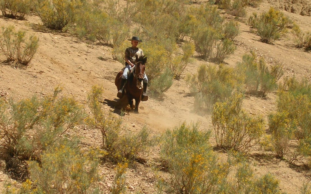 Mit Leichtigkeit zum Erfolg! Meine 5 besten Tipps für deinen authentischen Erfolgsweg