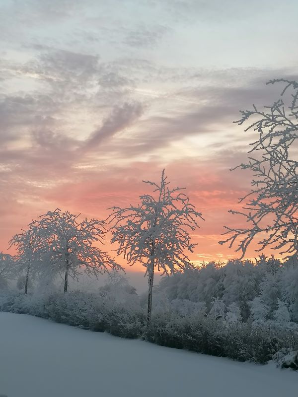 Das Bild zeigt vereiste Bäume und ienen Sonnenuntergangshimmel in Rot.