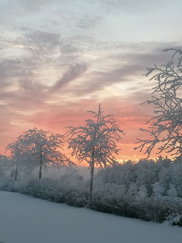 Das Bild zeigt vereiste Bäume und ienen Sonnenuntergangshimmel in Rot. 