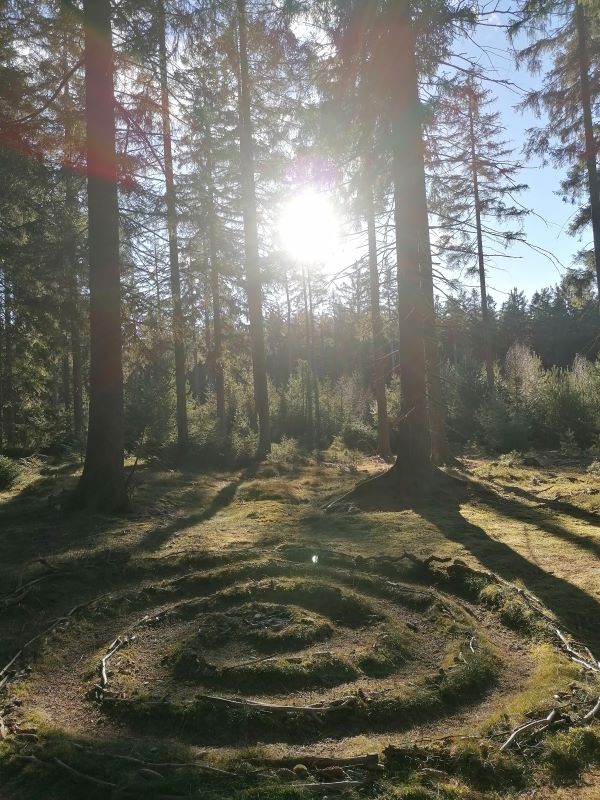 Im Wald, ein Moosbedeckter Boden und aus dem Moos und Ästen wurde am Boden eine große Spirale gelegt, in der Mitte ein Platz aus Stein für Räucherwerk. Die Sonne scheint durch die Bäume.