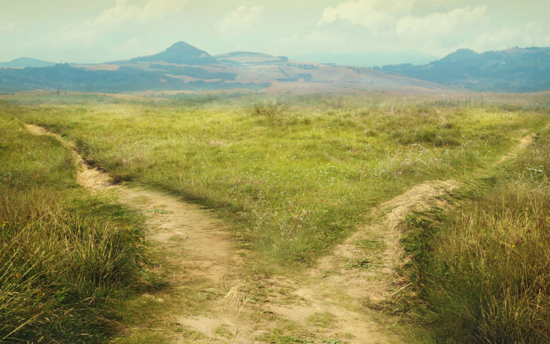 Wer gilt als talentiert? Über Leistung, Herkunft und Anerkennung