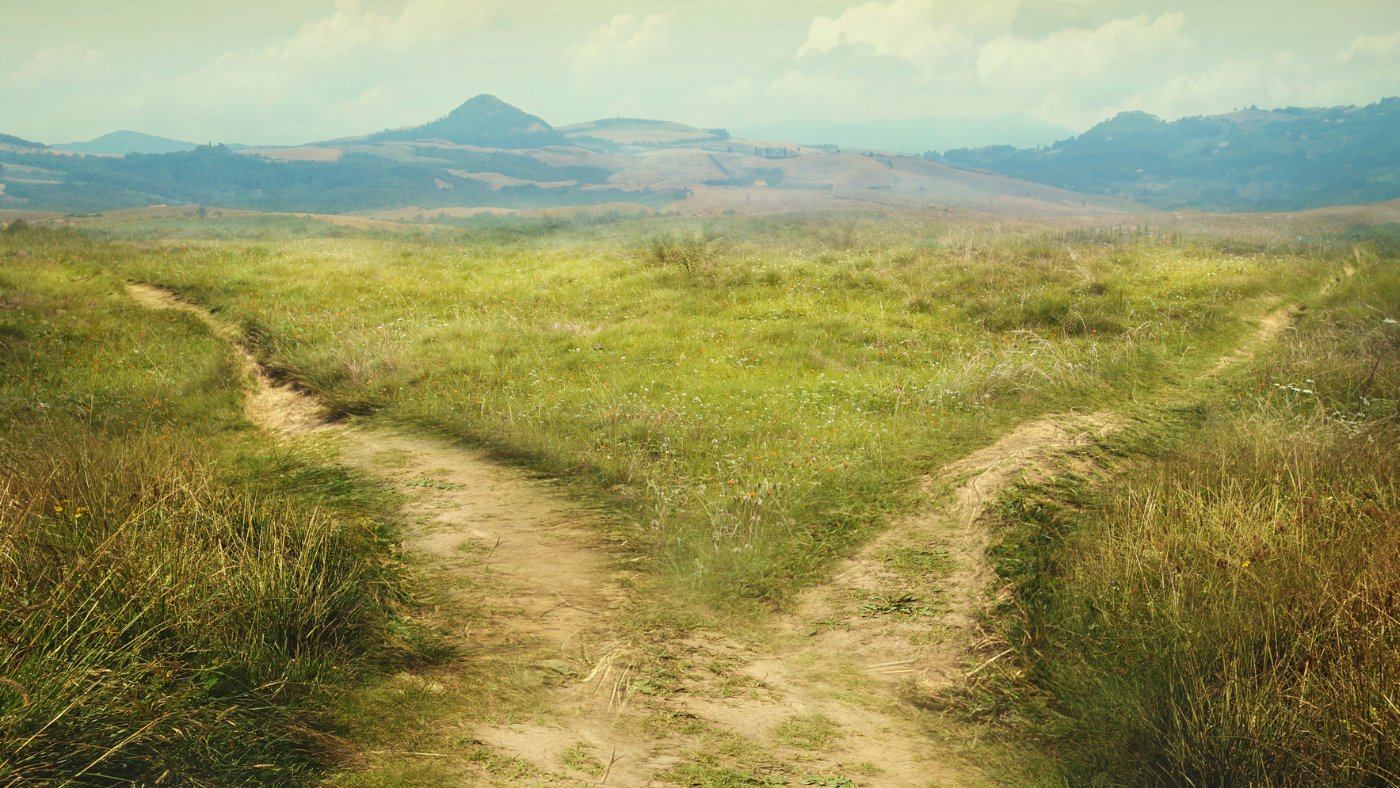 Zwei schmale, sich gabelnde Pfade führen durch eine offene grüne Wiesenlandschaft mit sanften Hügeln im Hintergrund.